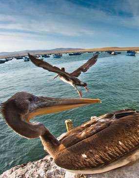 luna-travel-inicio-imagen-2